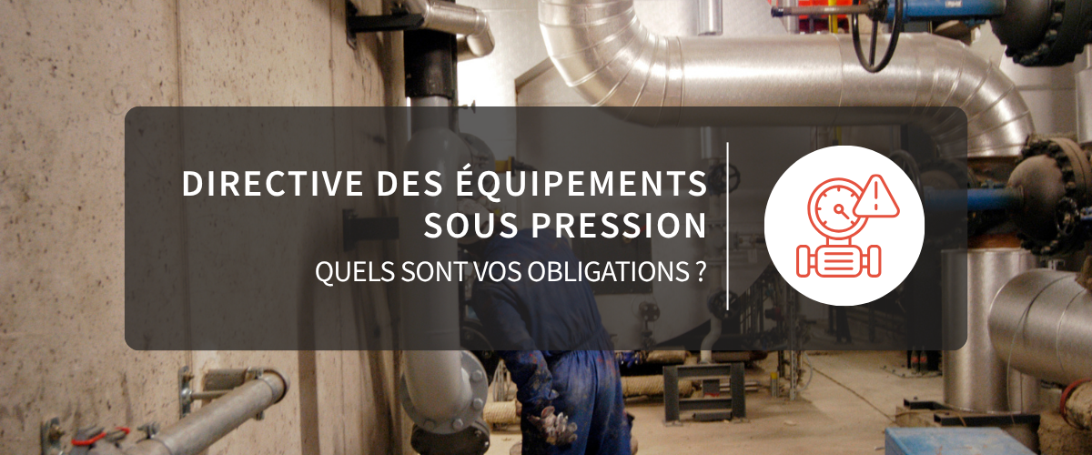 DESP : vos obligations